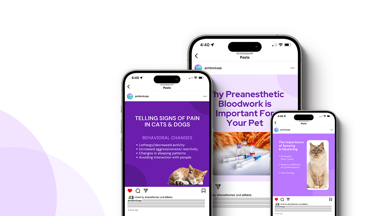 Essential Pet Vitality Social Posts