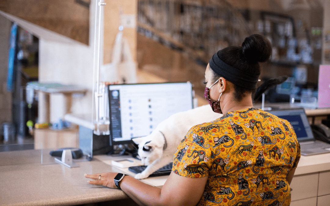 How PetDesk Solves Common Challenges With Veterinary Client Communication Software