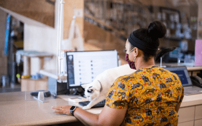 How PetDesk Solves Common Challenges With Veterinary Client Communication Software