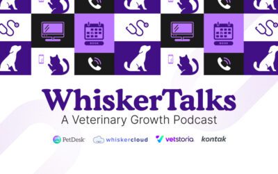 Episode 38: Veterinary Teams Need More Support