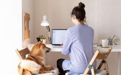 Guide to Digital Forms for Veterinary Hospitals