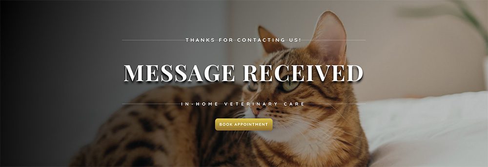 Message-Success Success Message
