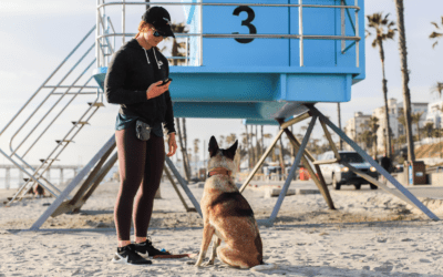How to Get Clients to Use Your Veterinary Mobile App (Yes, Even Those Who Aren’t Tech-Savvy)