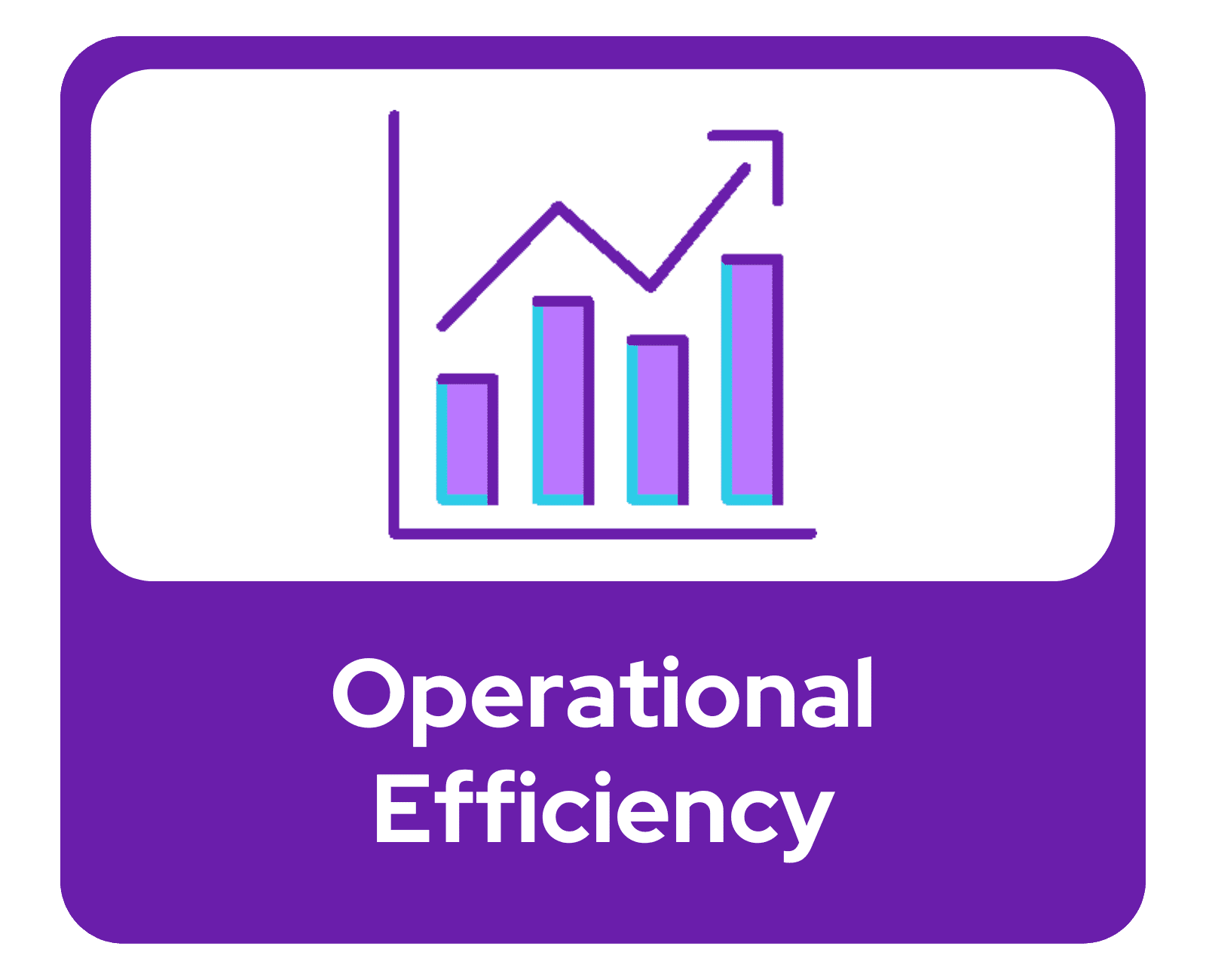 Operational Efficiency Operational Efficiency