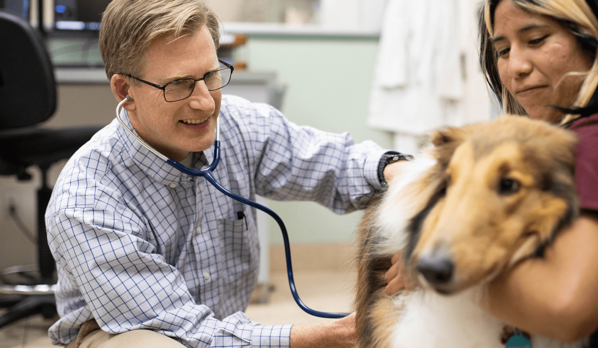 Efficiency and Growth: How PetDesk Boosted El Paseo Animal Hospital’s Performance