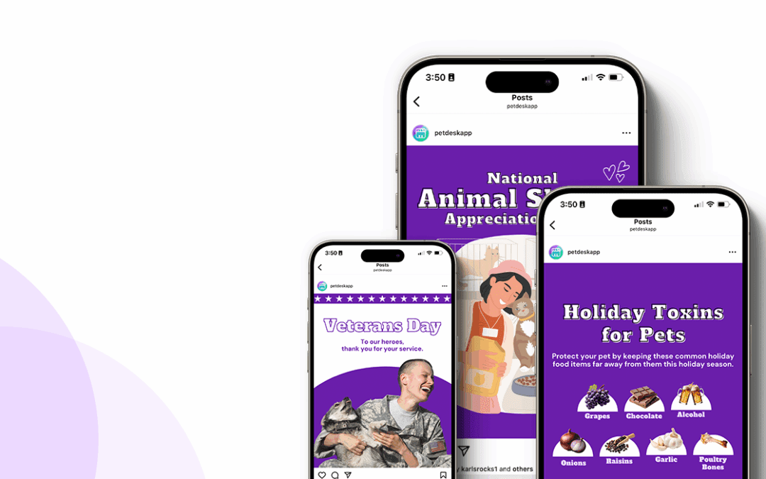 13 Awesome Veterinary Marketing Ideas for November