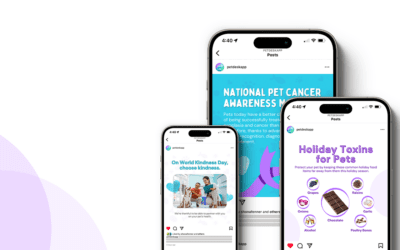 13 Awesome Veterinary Marketing Ideas for November