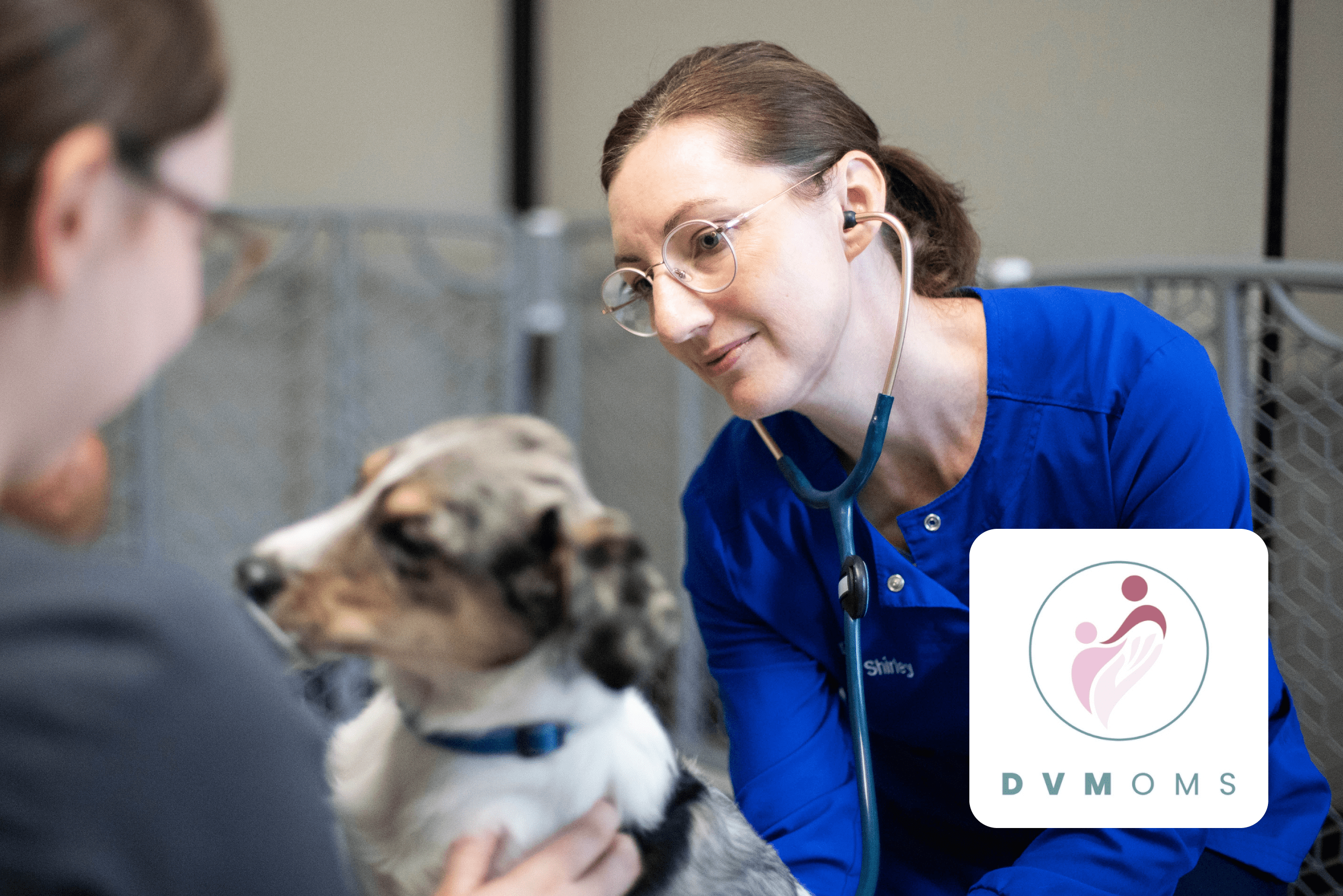 Veterinarian happily examining a puppy while a vet tech holds him