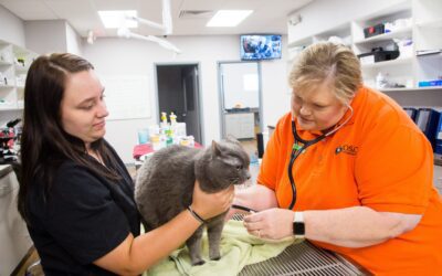 Osage Veterinary Clinic reduces call volume by 40% with PetDesk Booking