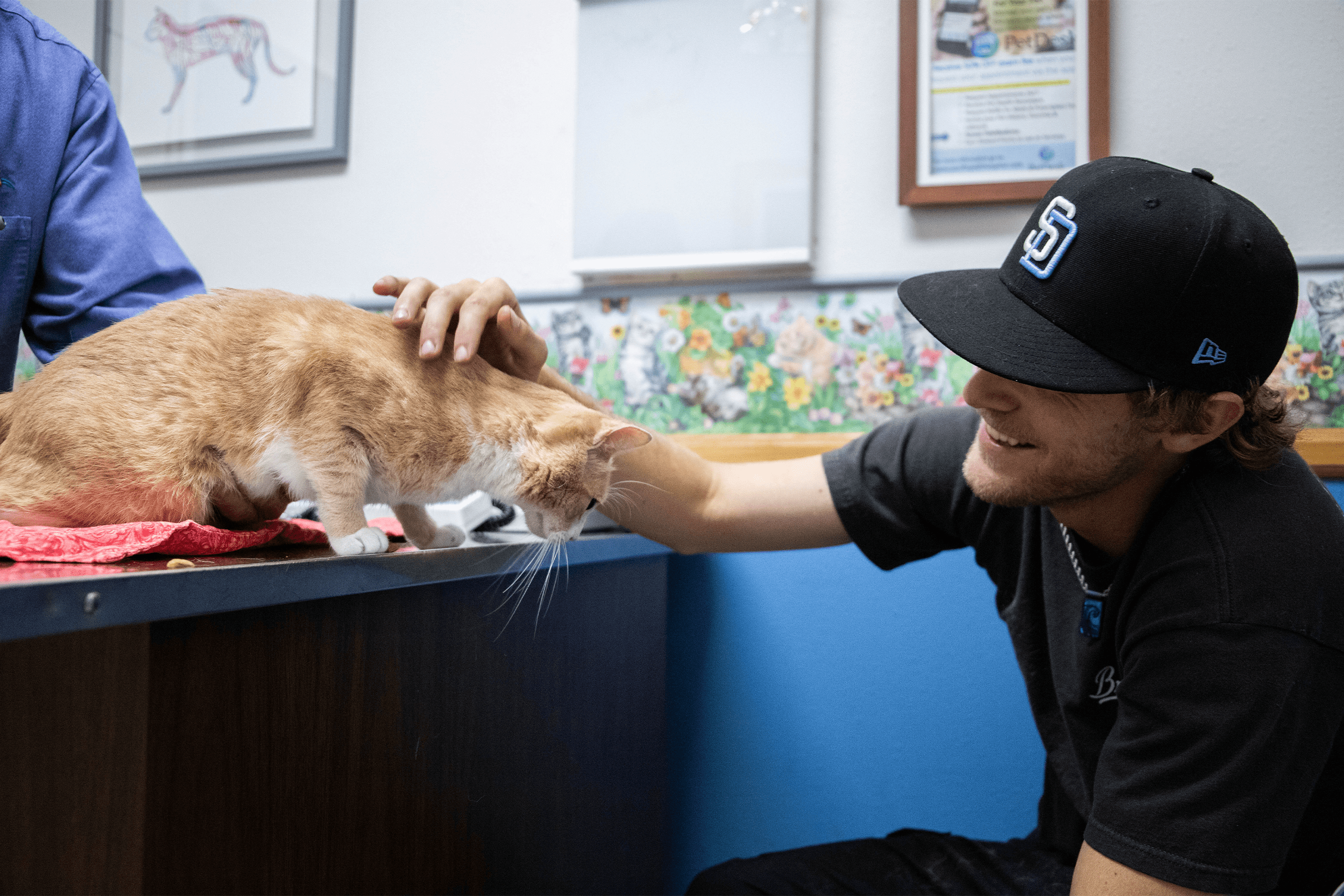 Client happily petting cat while in the exam room with veterinarian Client happily petting cat while in the exam room with veterinarian
