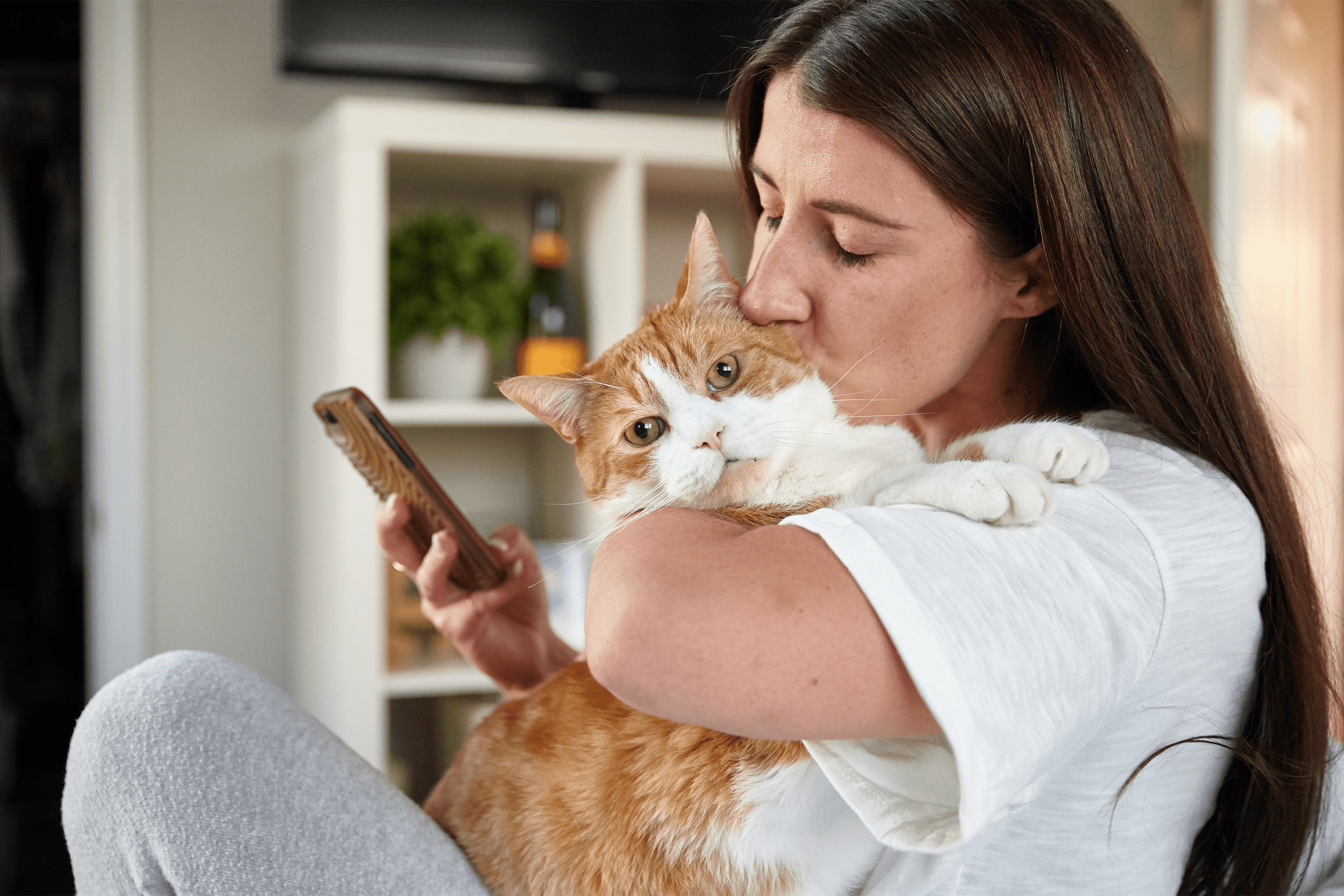 Efficient pet health management app_PetDesk Pet parent kissing their cat on the head while using their mobile phone