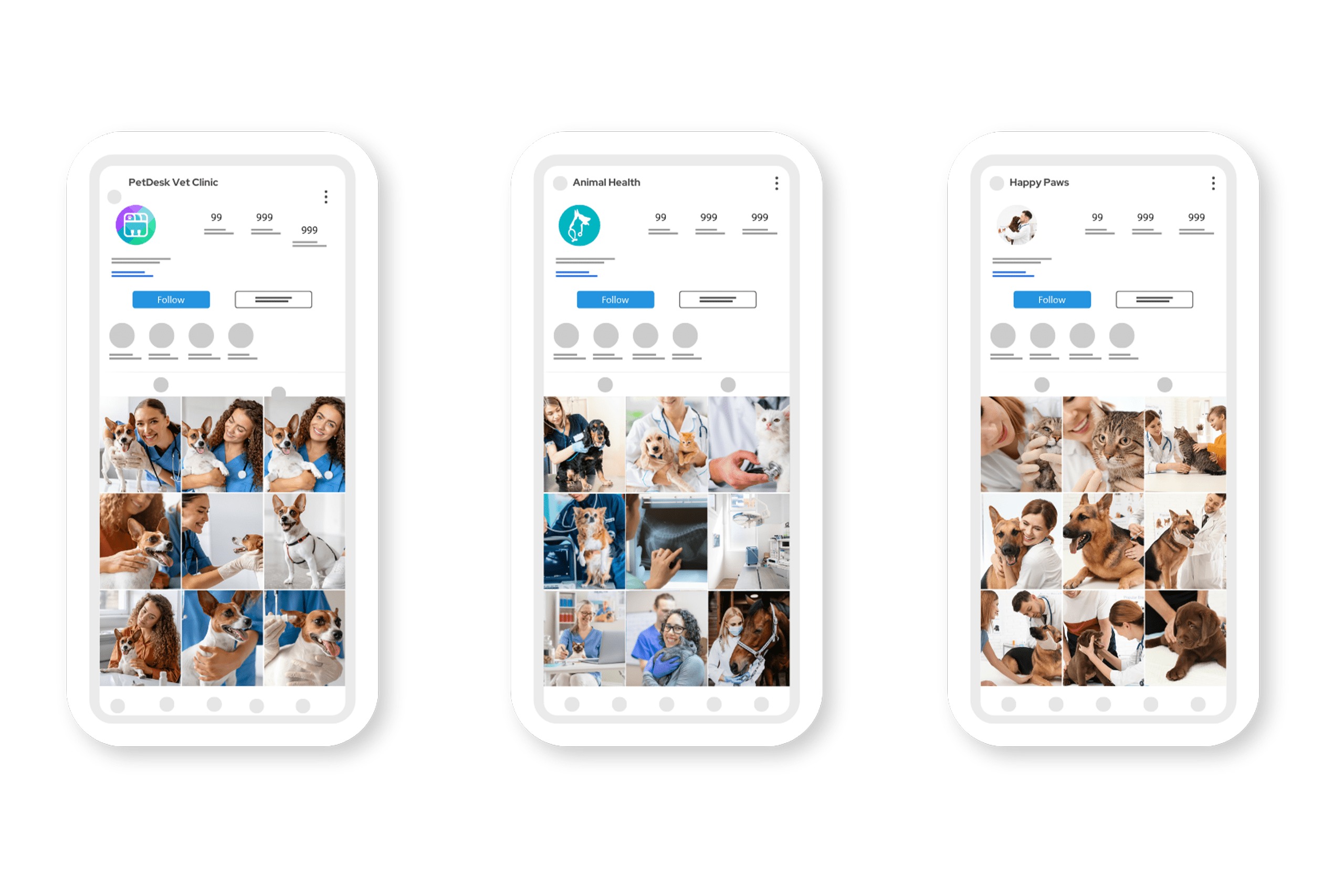 Mockup of Veterinary Social Media Marketing Mockups of Social Media Platforms for Veterinary Clinics