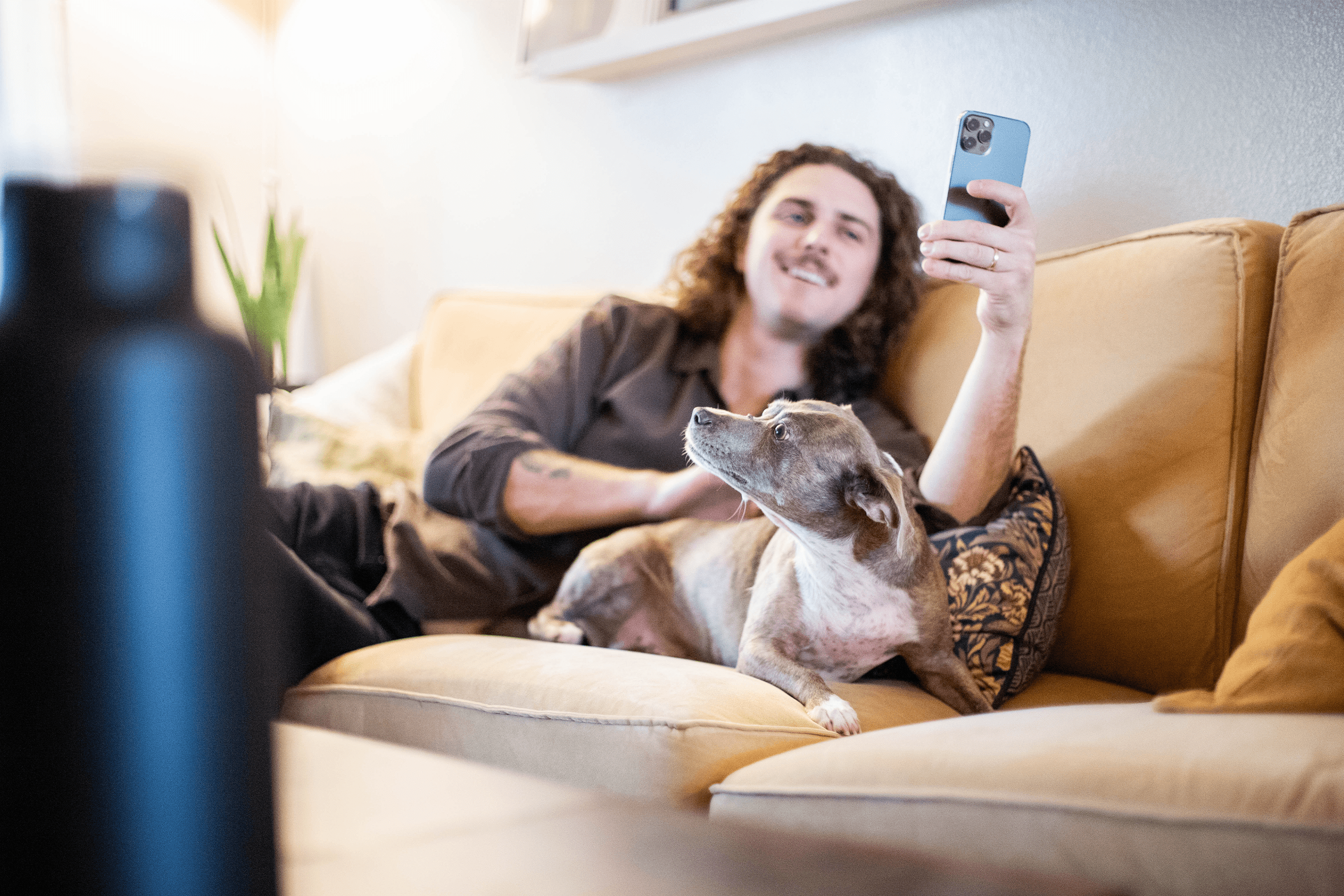 Pet parent lying on couch with dog while using their phone Pet parent lying on couch with dog while using their phone