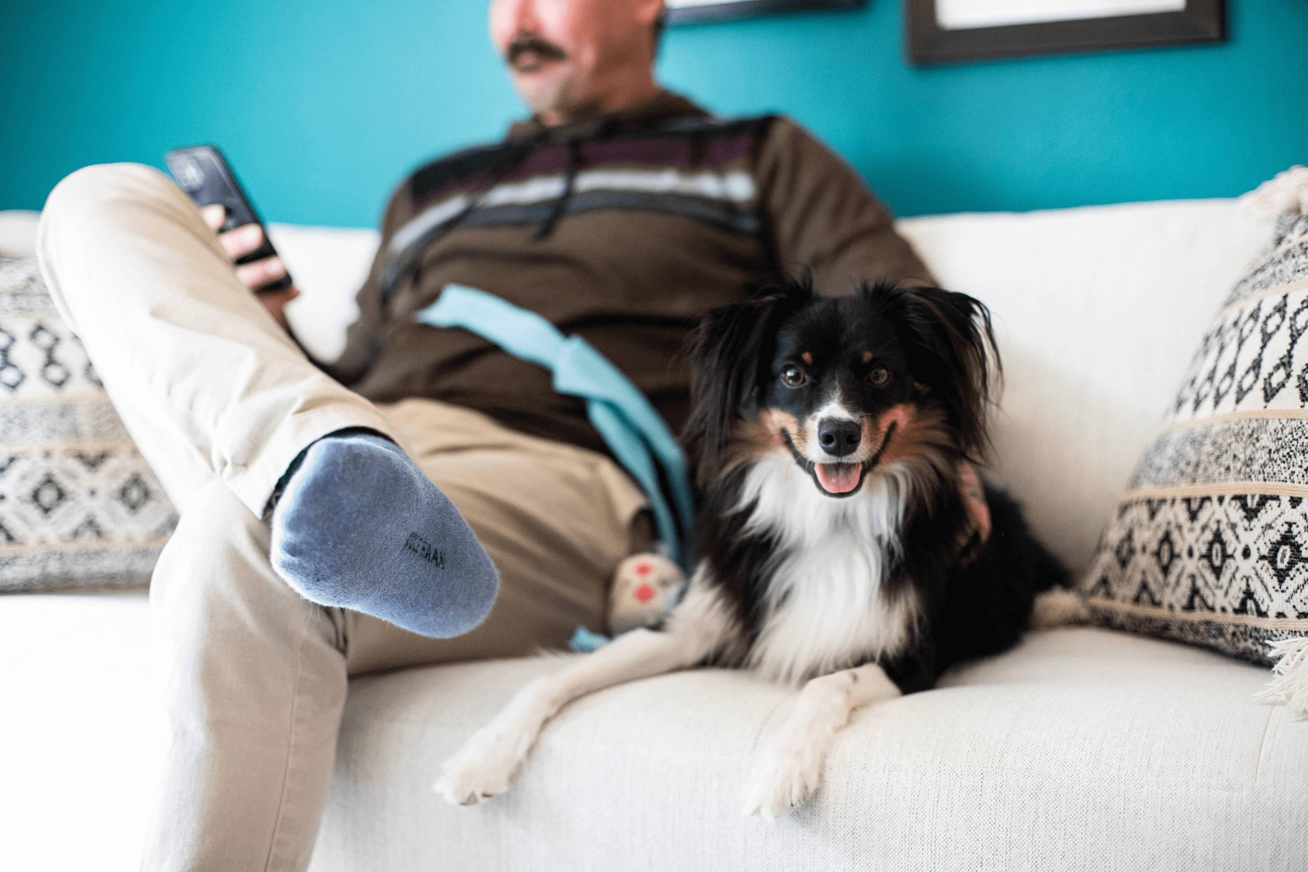 Pet parent using their cell phone while petting their dog on the couch Pet parent using their cell phone while petting their dog on the couch