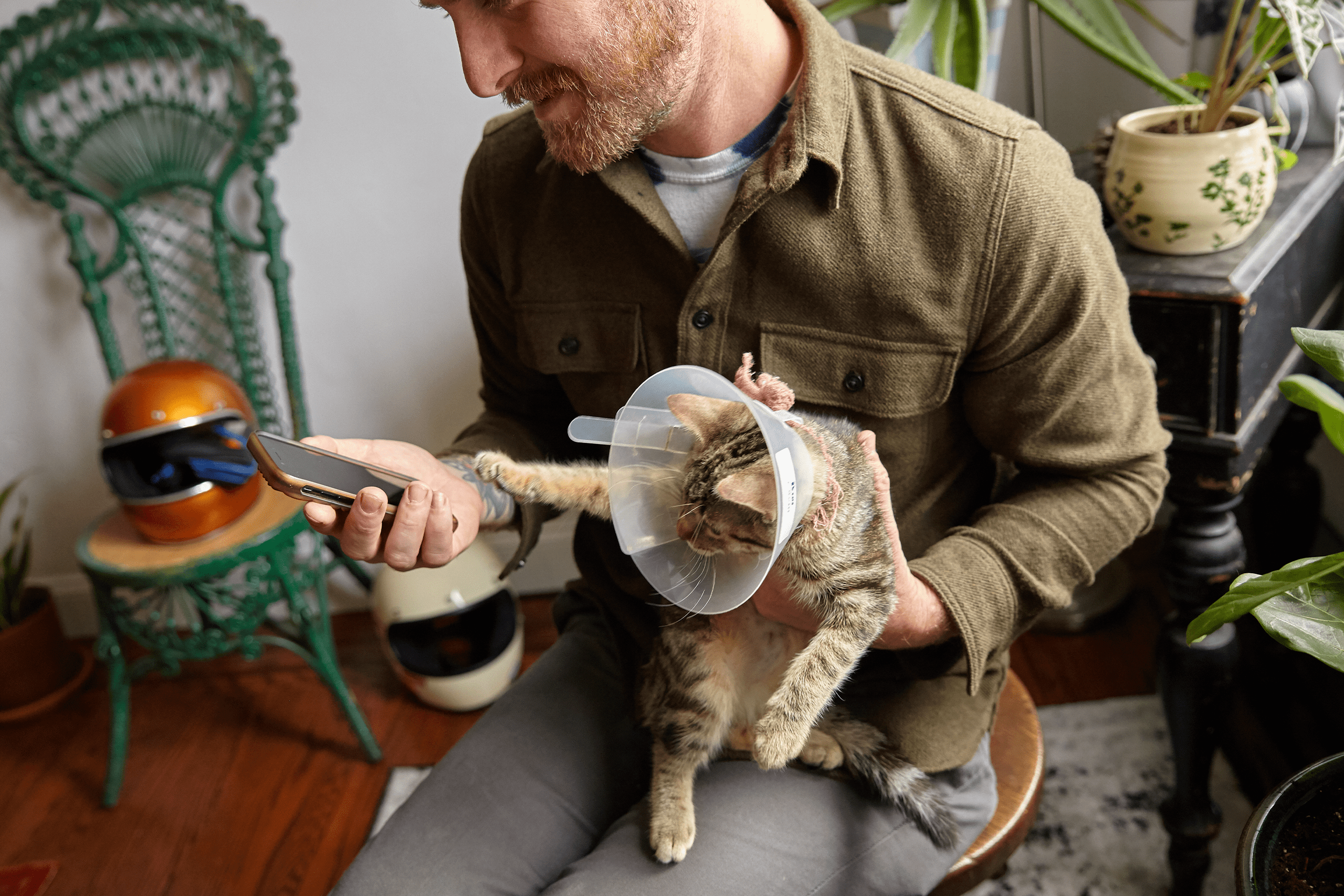 Pet parent using their phone while holding their kitten Pet parent using their phone while holding their kitten