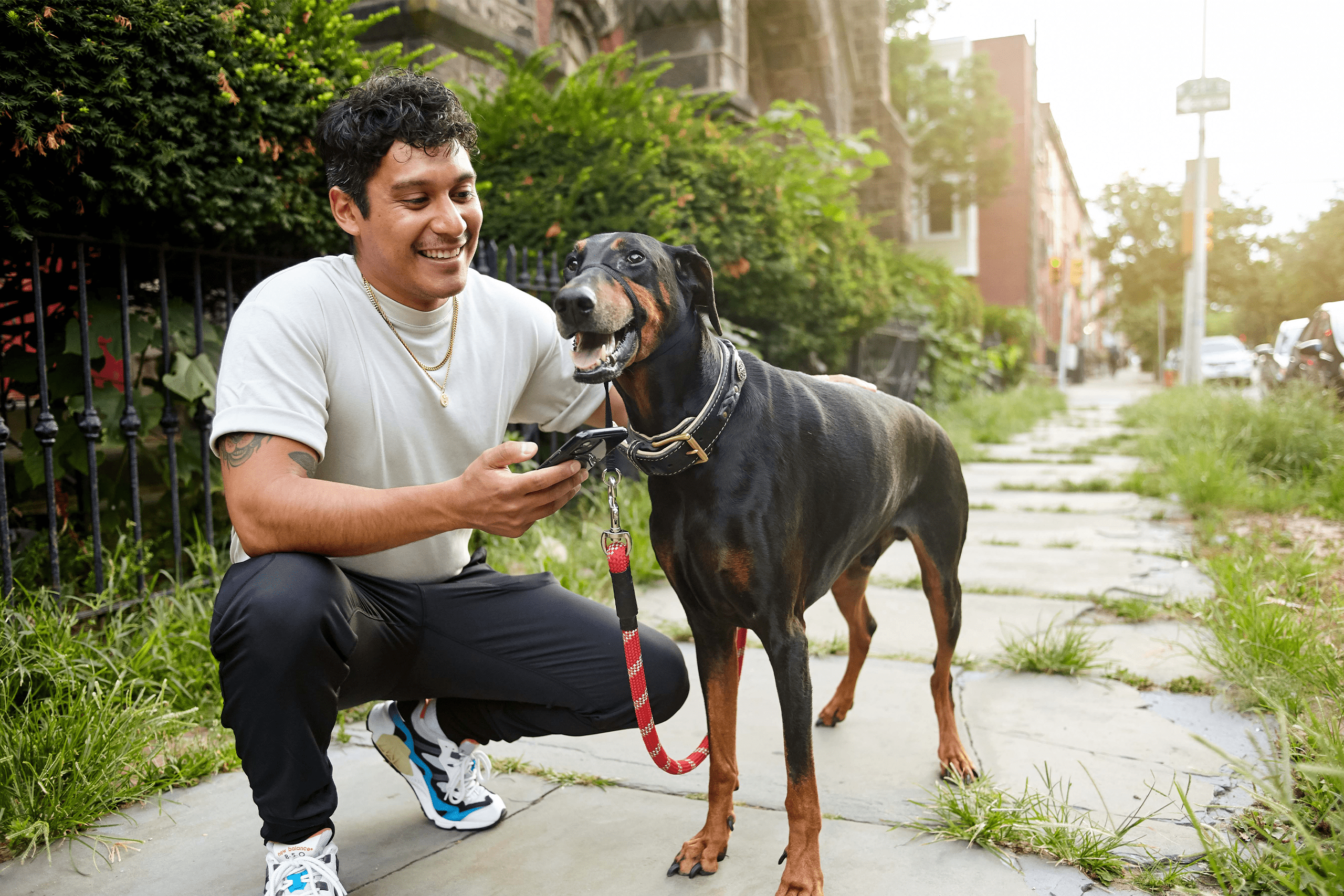 Pet parent using their phone while squatting next to their dog on a walk Pet parent using their phone while squatting next to their dog on a walk