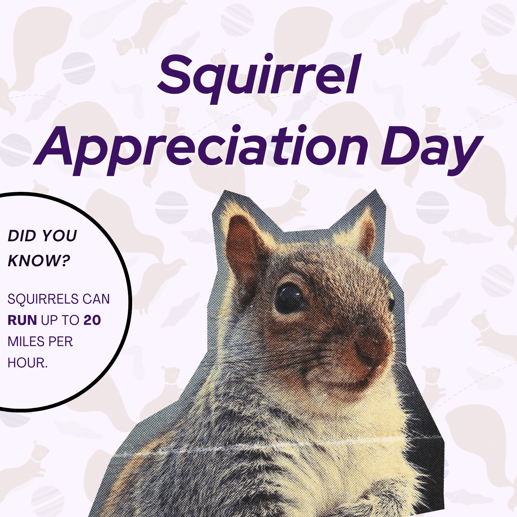 Squirrel Appreciation Day Social Post