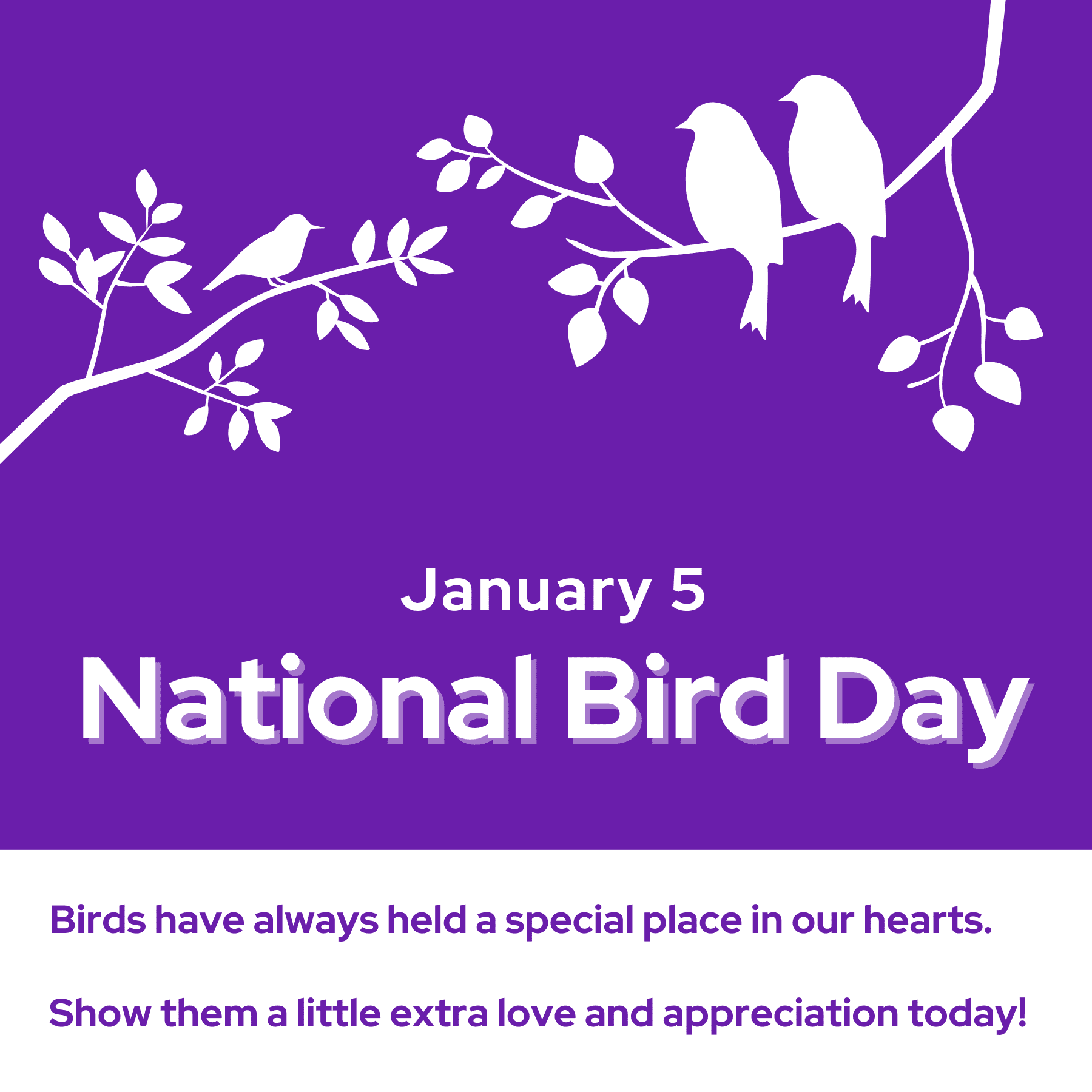 National Bird Day Social Post