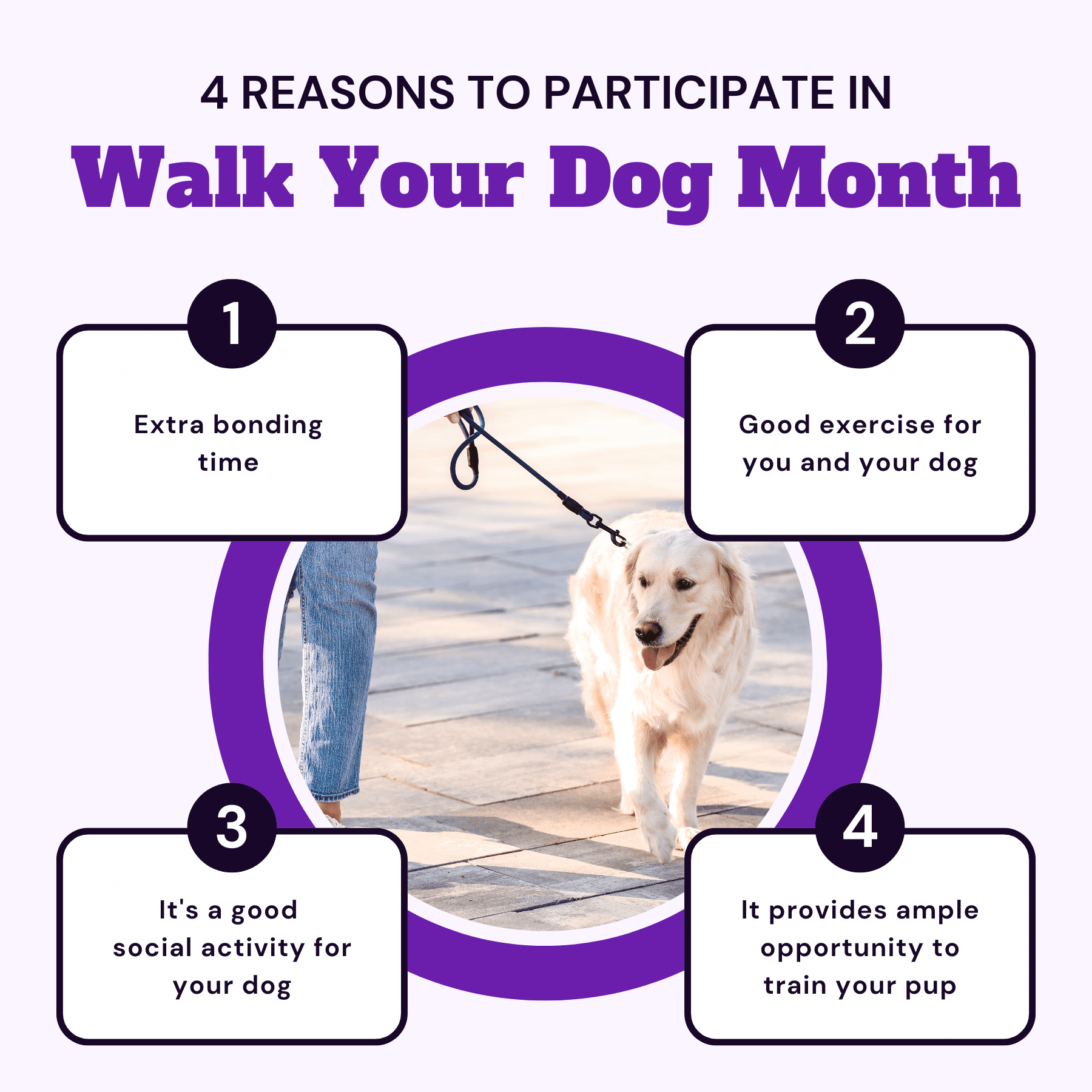 Walk your dog month holiday post