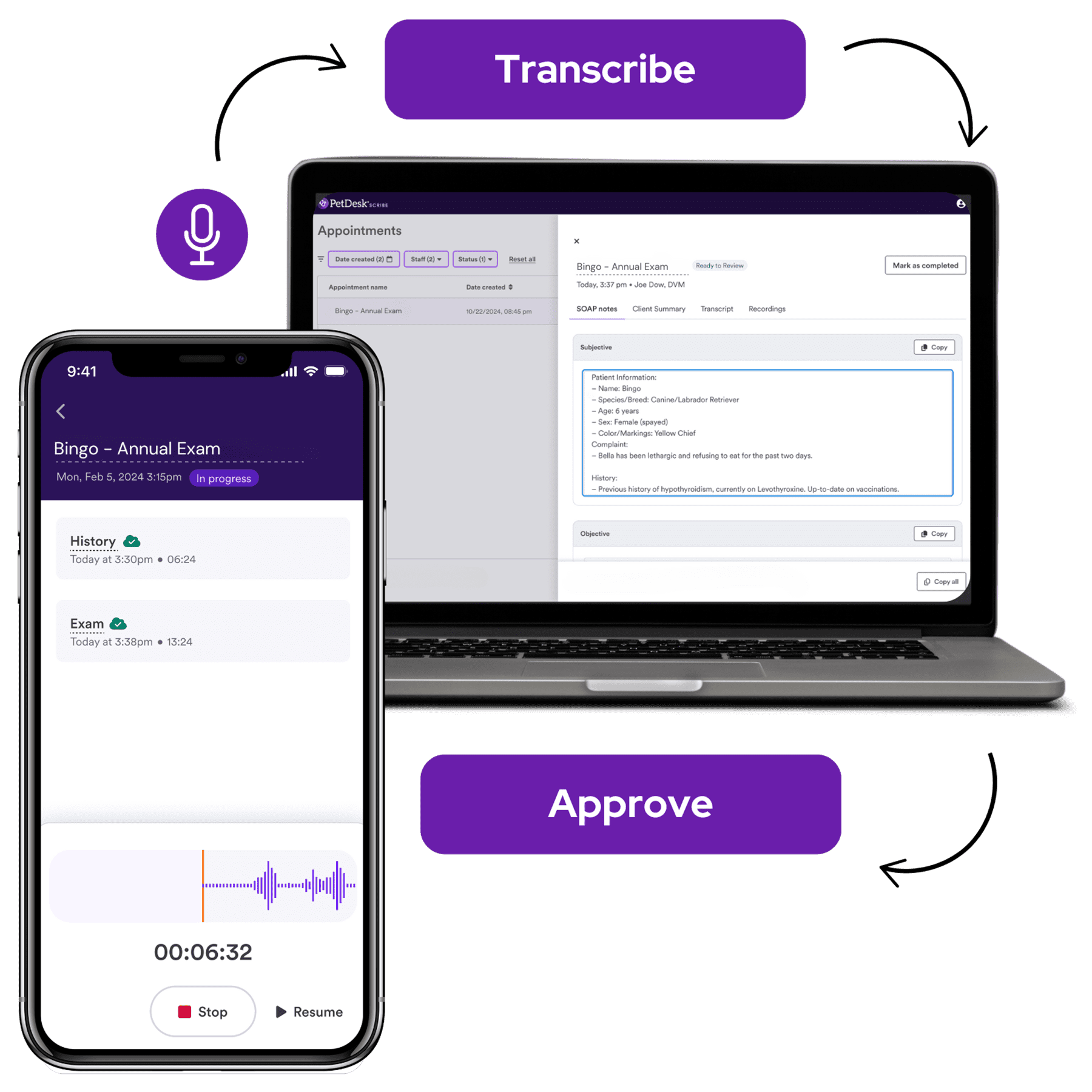 Example of PetDesk Scribe