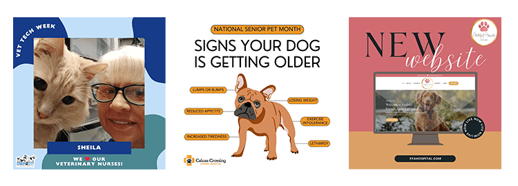 Social Media Samples PetDesk Marketing Social Media Samples