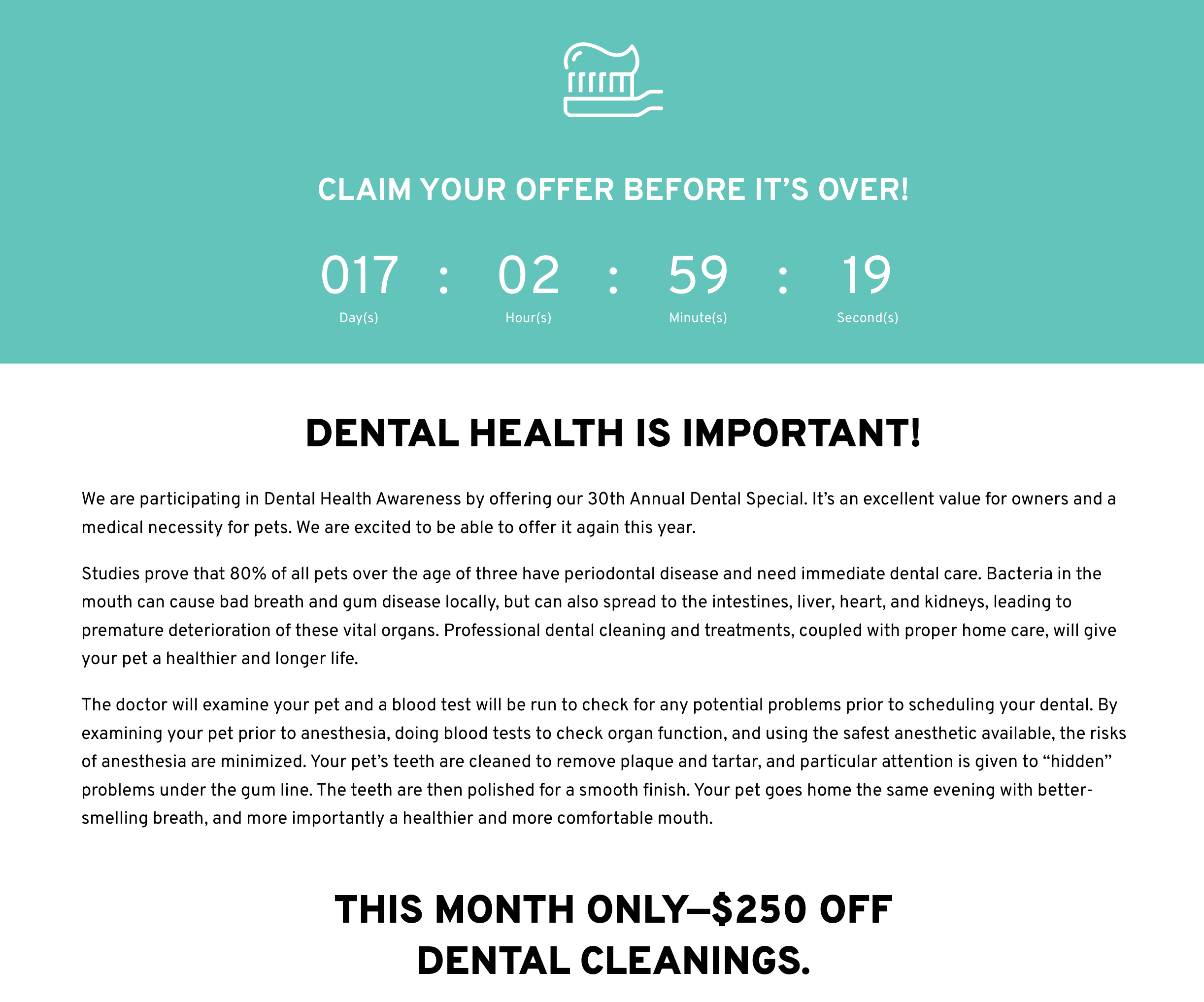 Veterinary-Dental-Marketing Example of a dental month promo