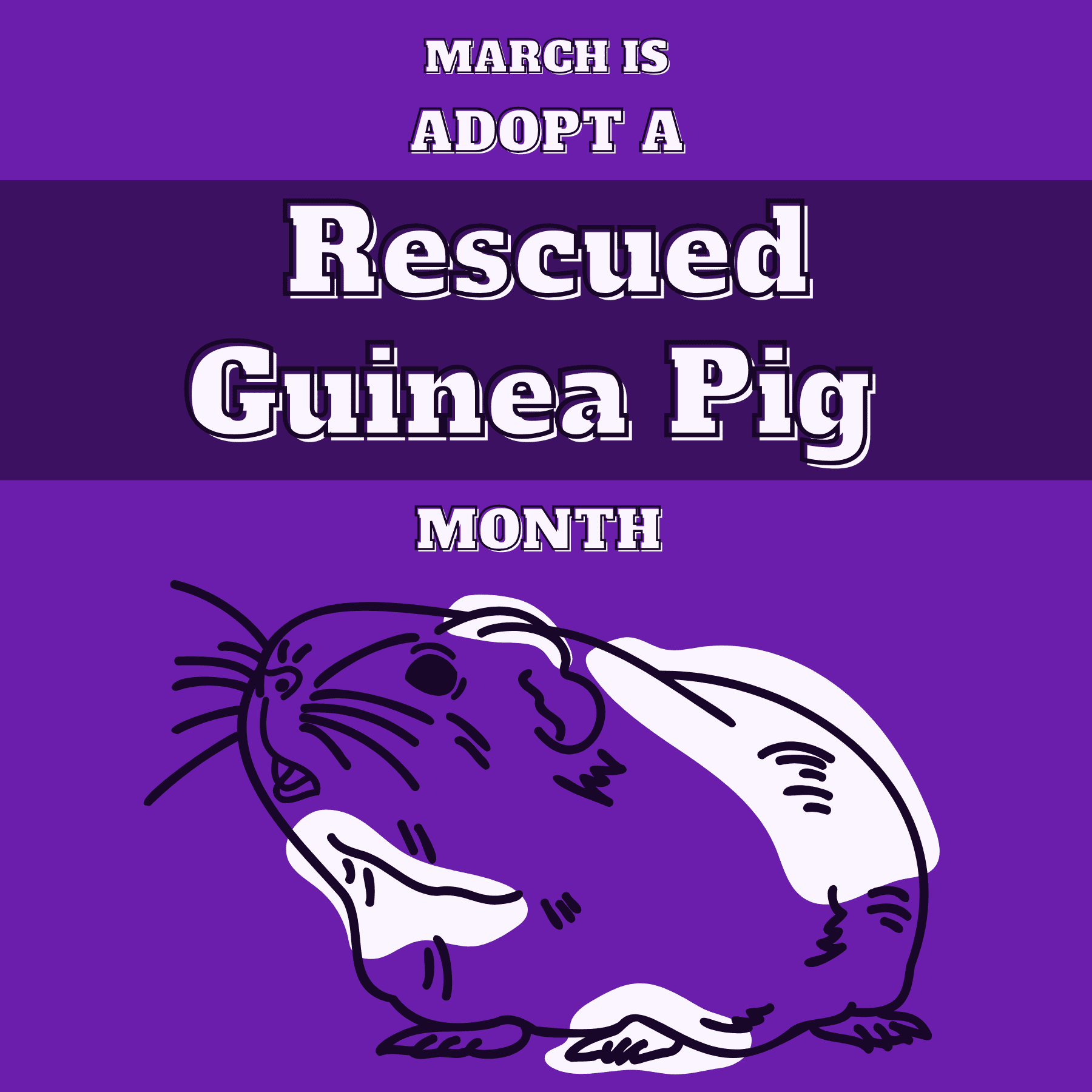 Adopt a rescued guinea pig month social graphic