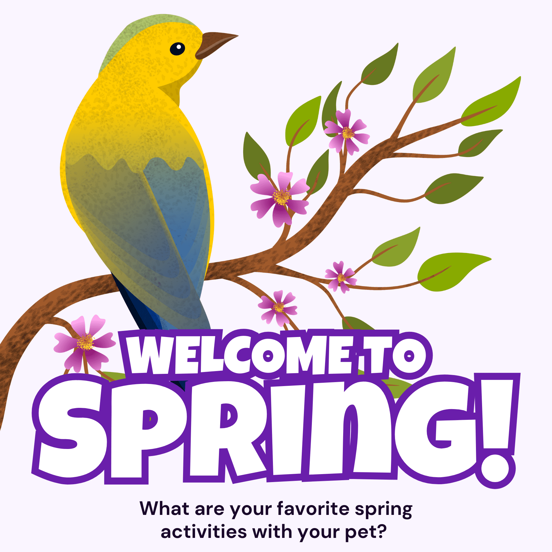 Welcome to Spring social graphics 