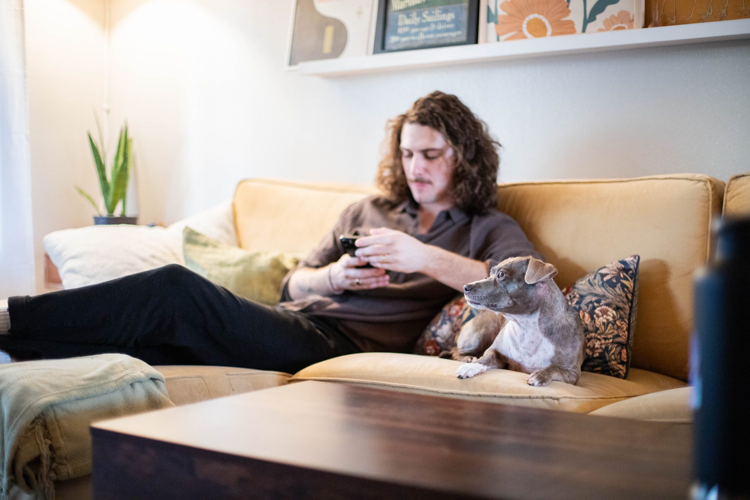 Pet parent using their phone to book an appointment while sitting with their dog
