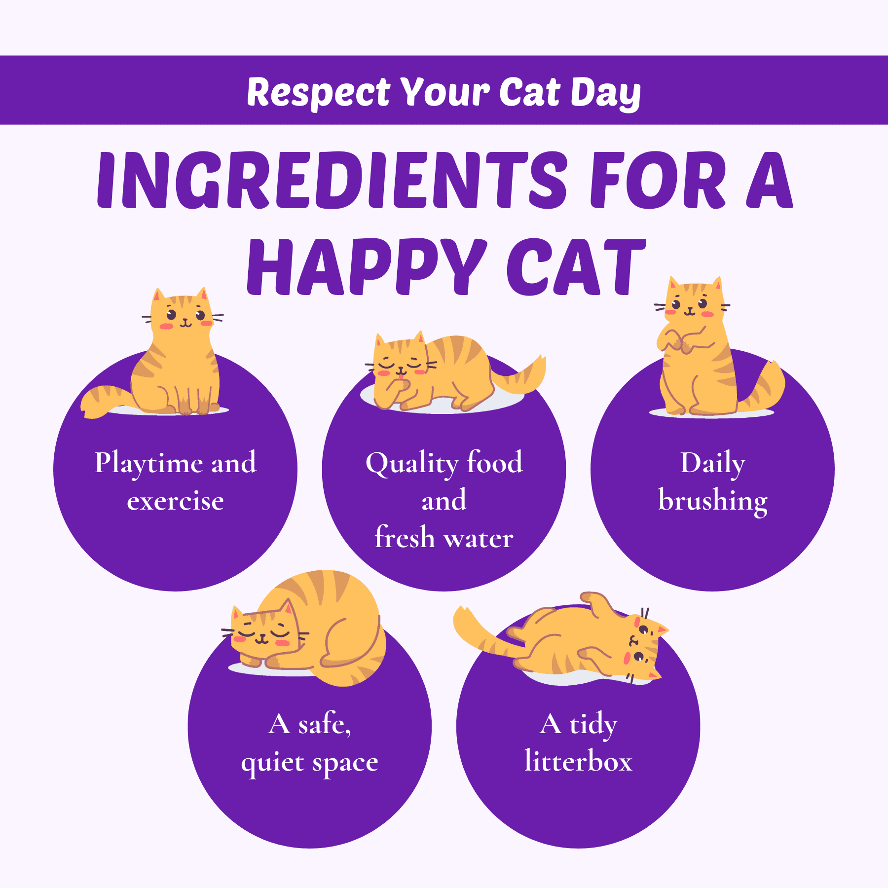 Respect your Cat Day social graphic