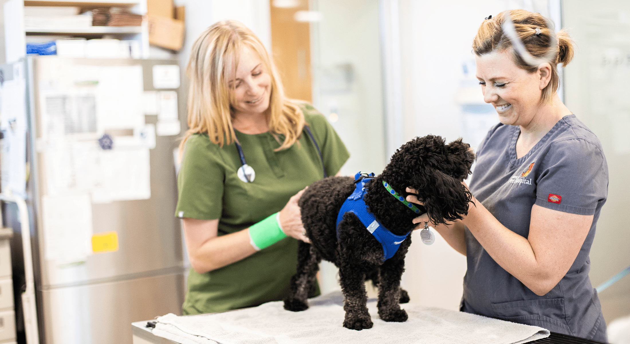 Less Time on Notes, More Time for You Female veterinarian and veterinary technician happily examining a dog
