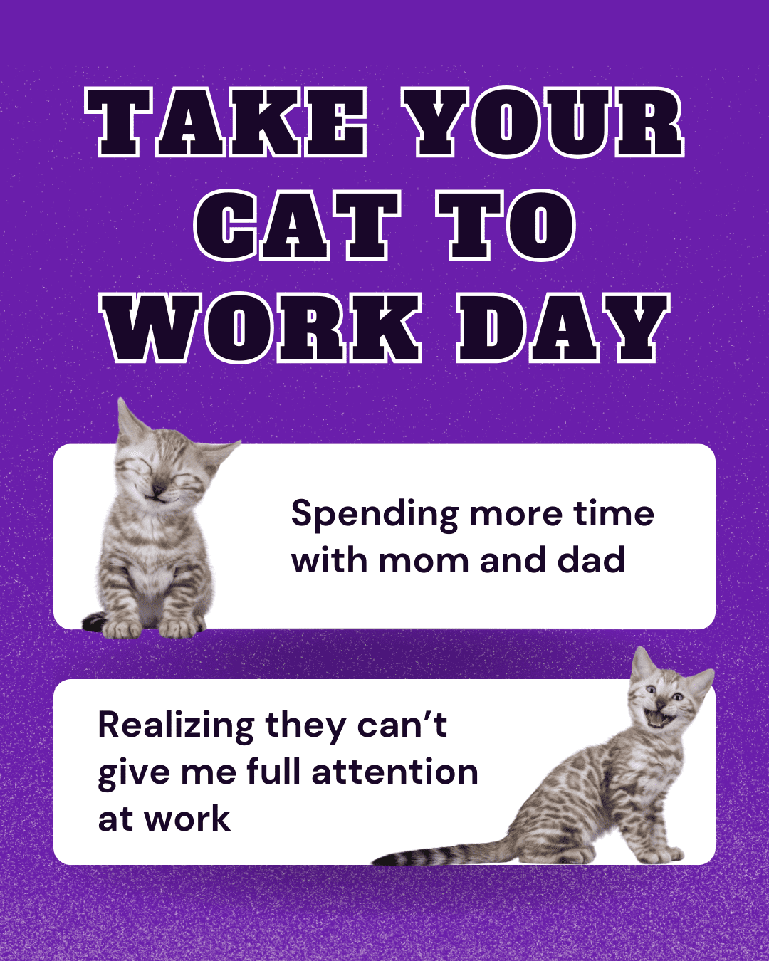 Take your cat to work day social post