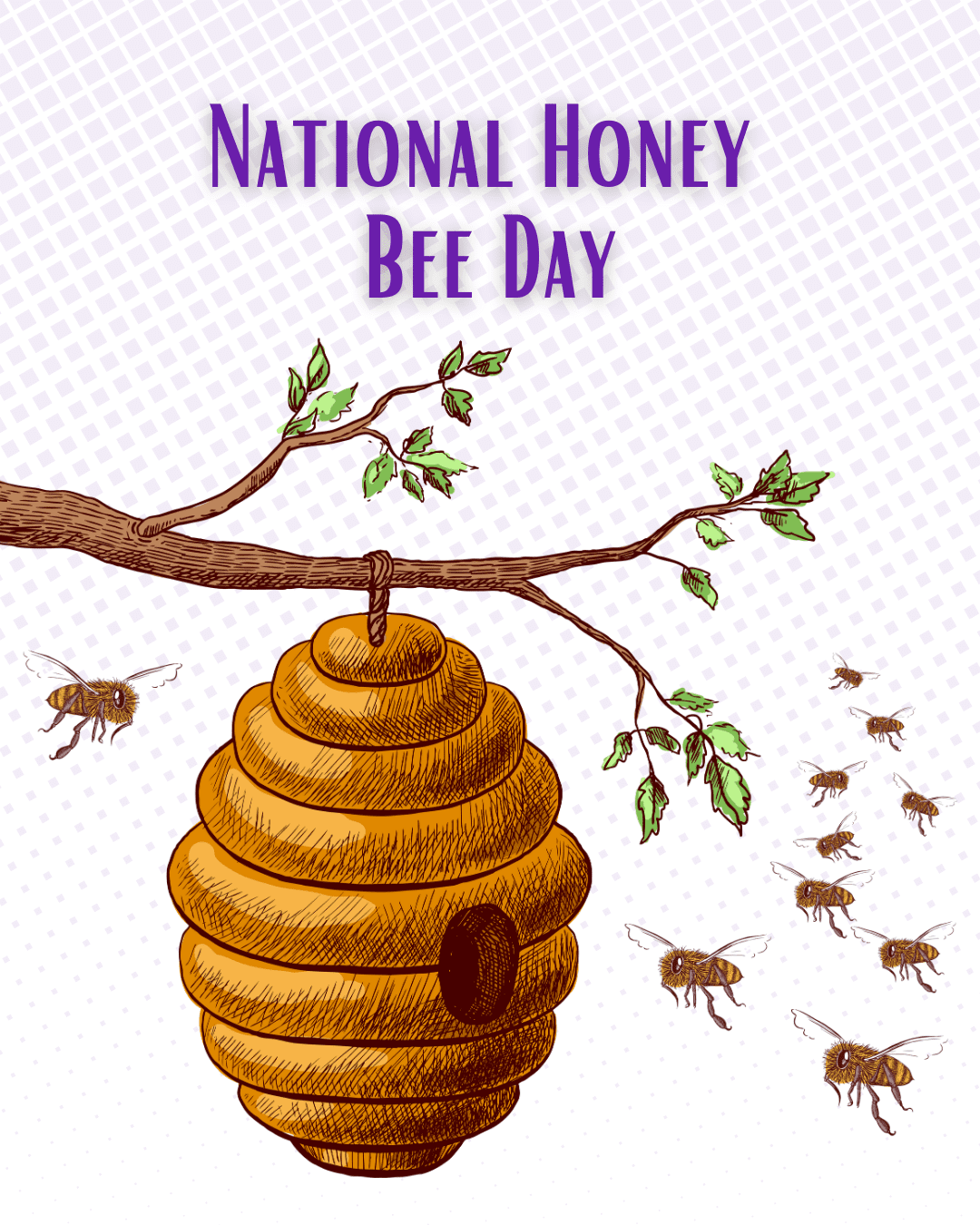 1 National Honey Bee Day social graphic