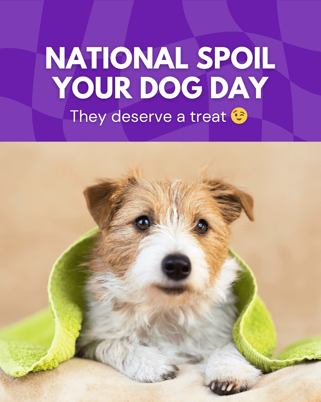 12 National Spoil Your Dog Day Social Graphic