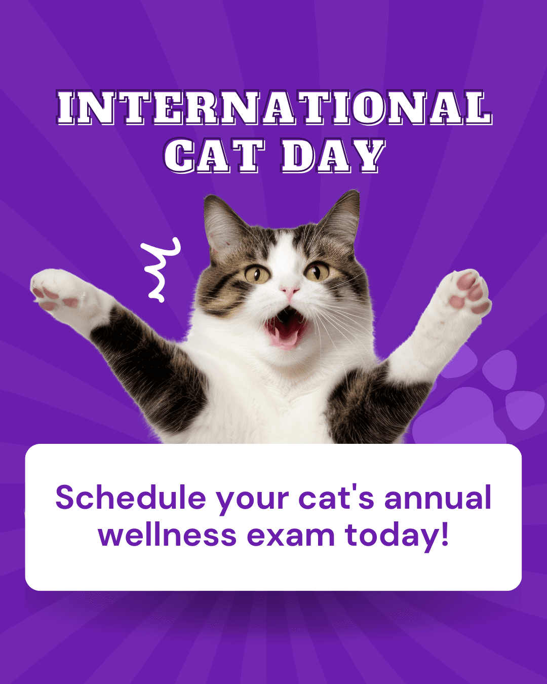 13 International Cat Day Social Graphic