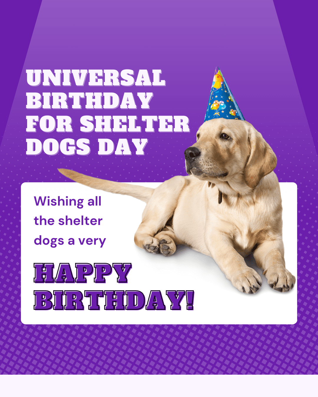 14 Universal Birthday for Shelter Dogs Day social graphic