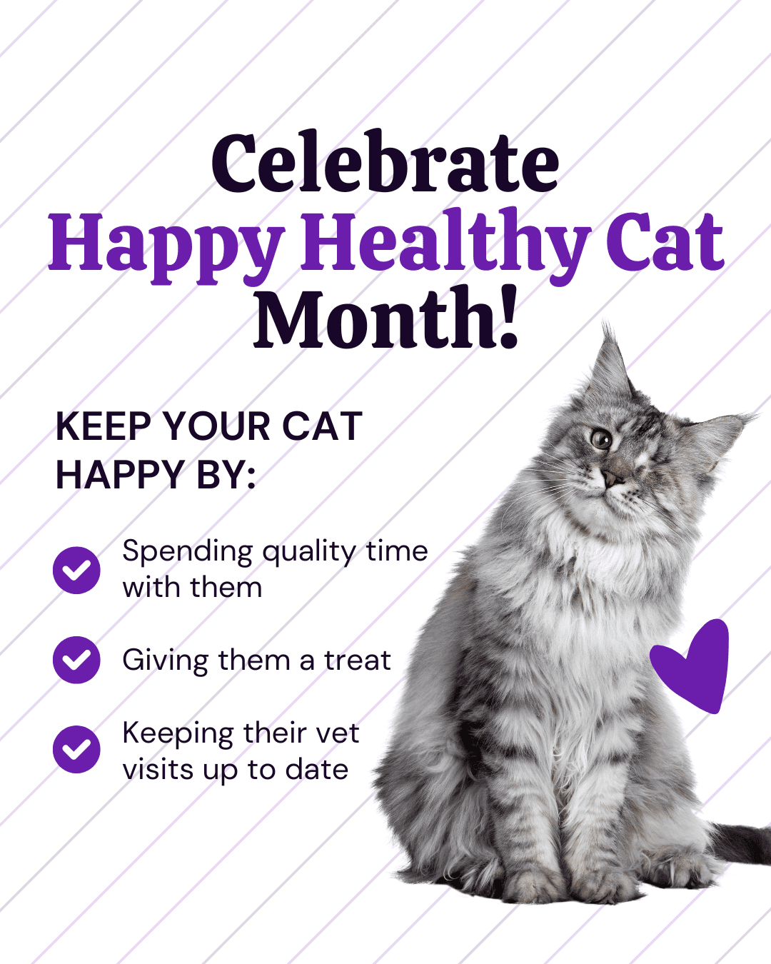 Celebrate Happy Healthy Cat Month Social Graphic