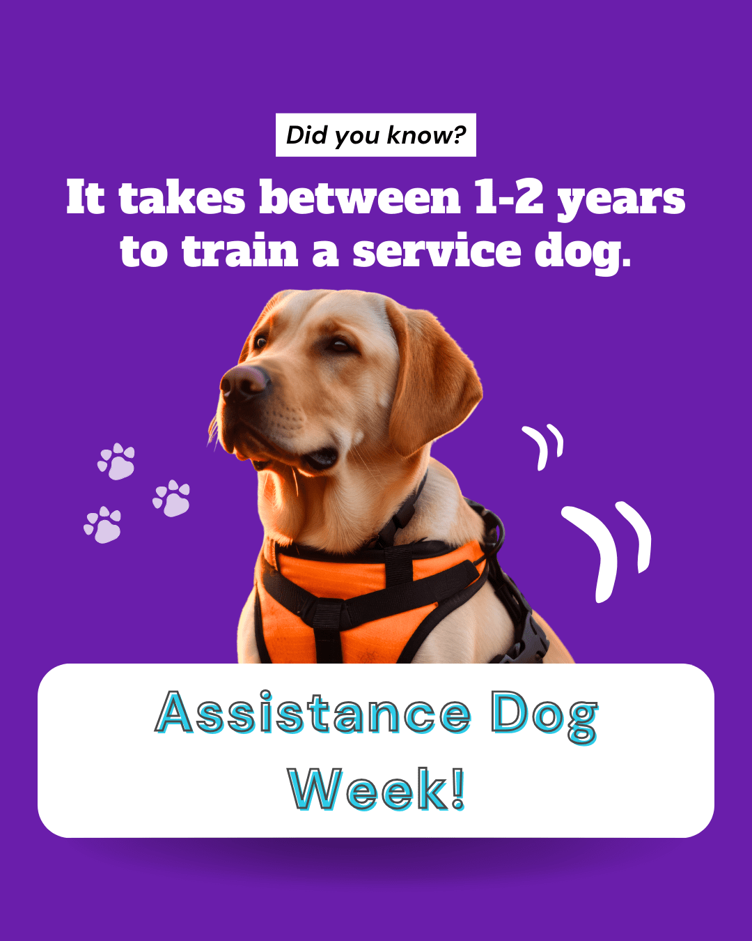 2 Assistance Dog Week social graphic