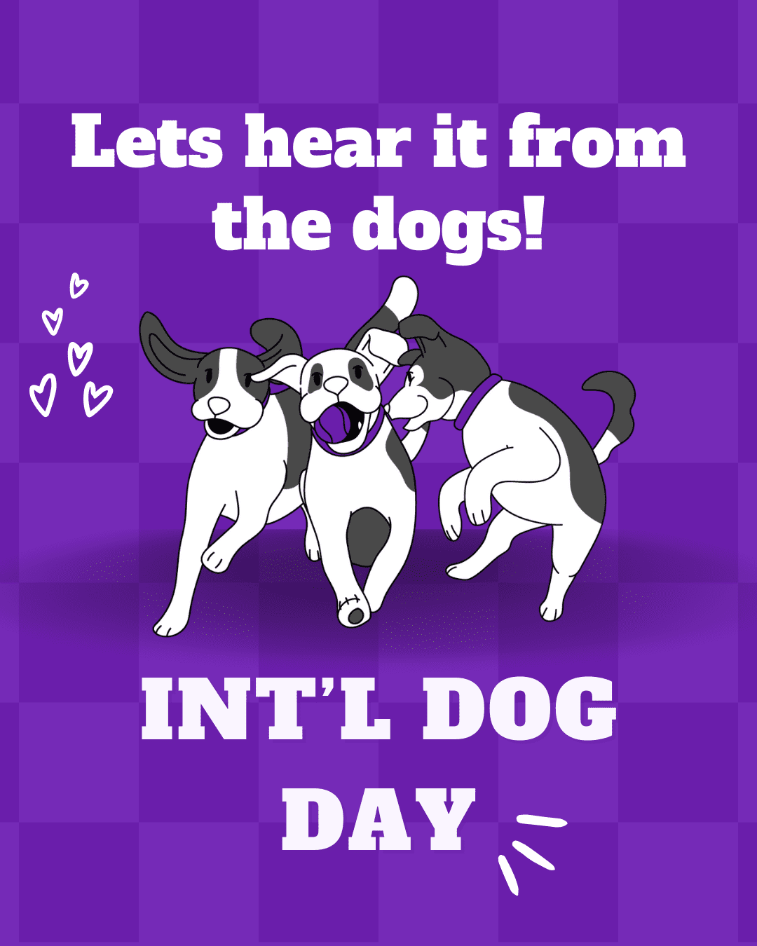 4 International dog day social graphic