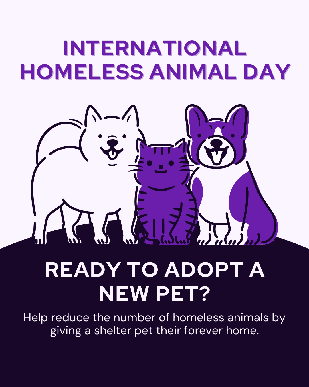 8 International Homeless Animal Day Social Graphic