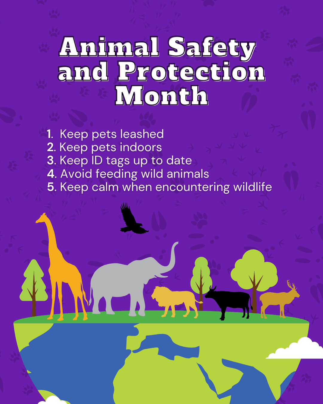 Animal Safety and Protection Month Social Graphic