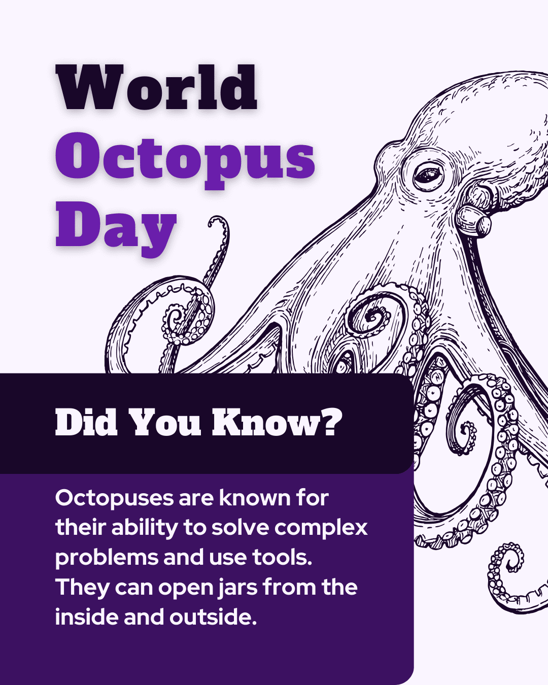 World Octopus Day social graphic