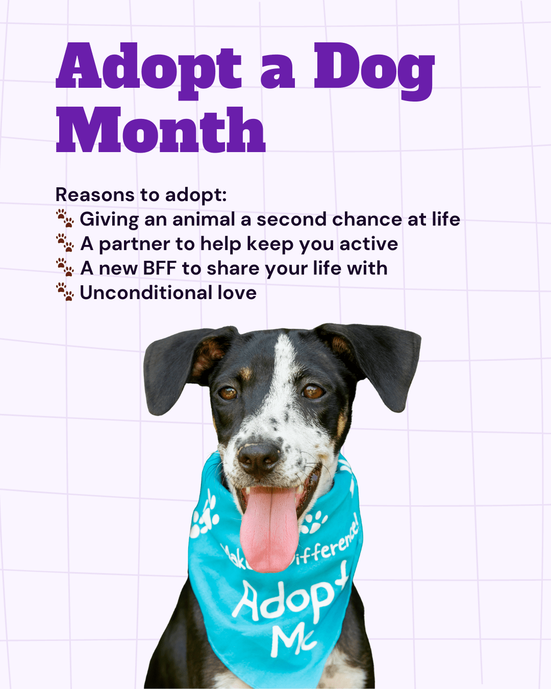 Adopt a Dog Month social graphic