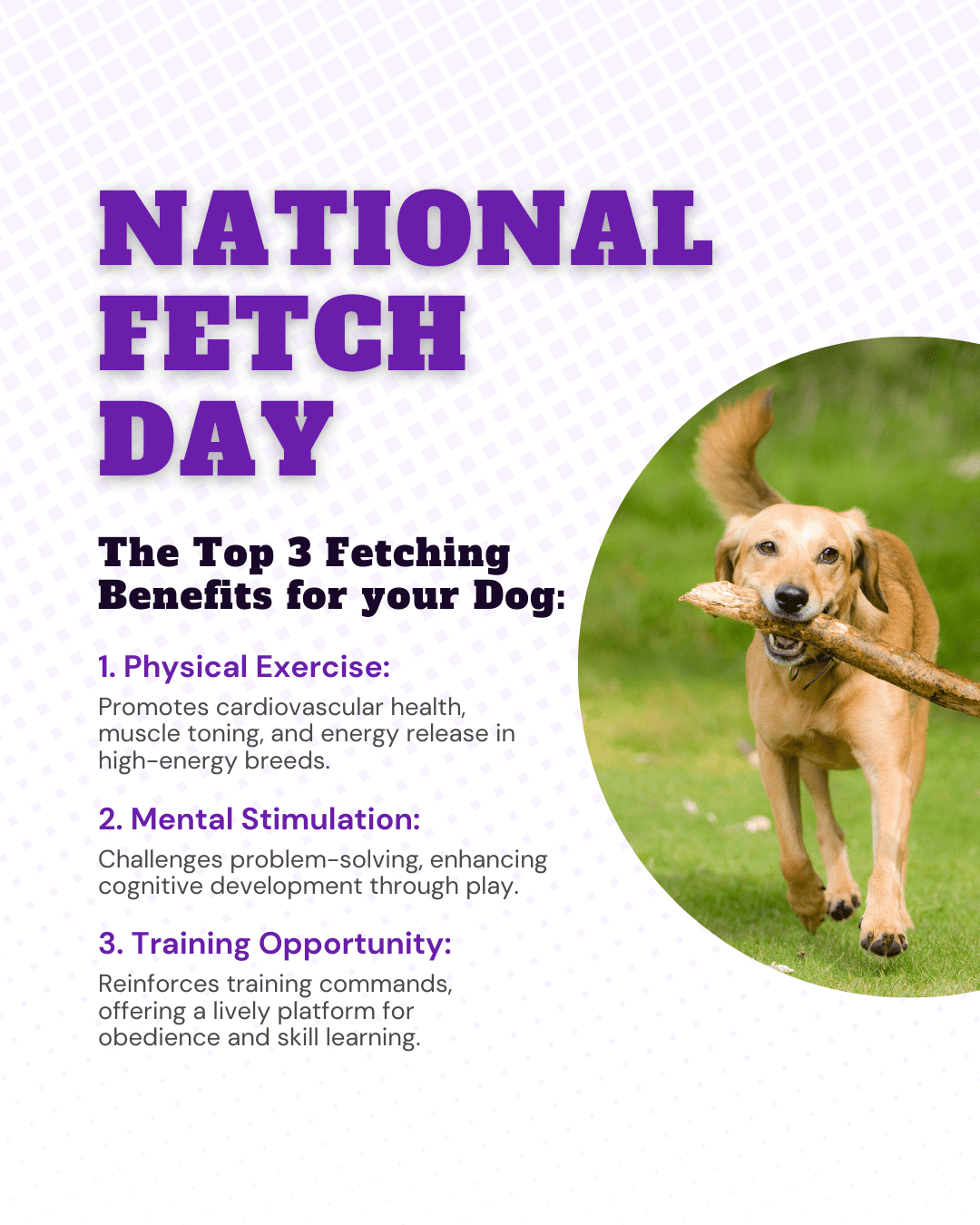 National Fetch Day social graphic
