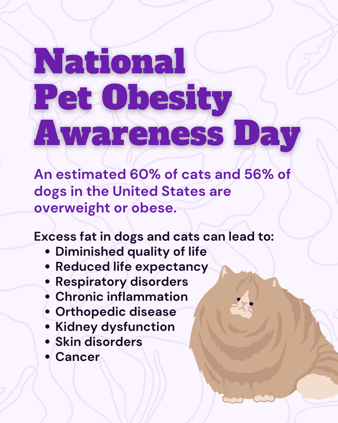 National Pet Obesity Awareness Day social graphic