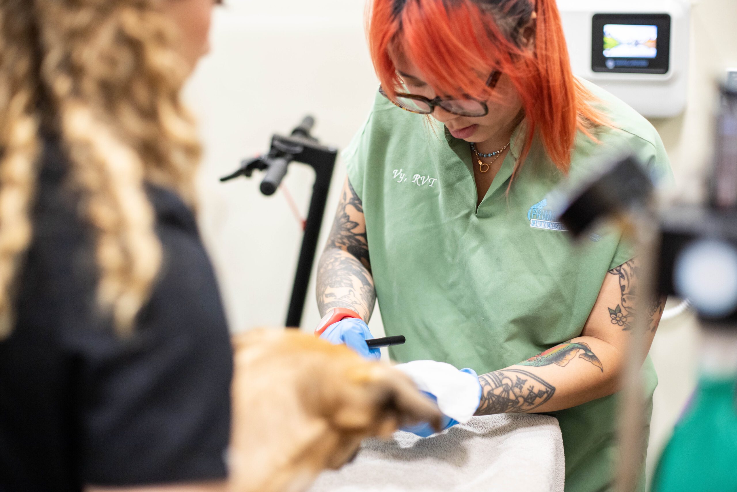 PCPH-June 2025-83 Two vet techs working together to help a pet