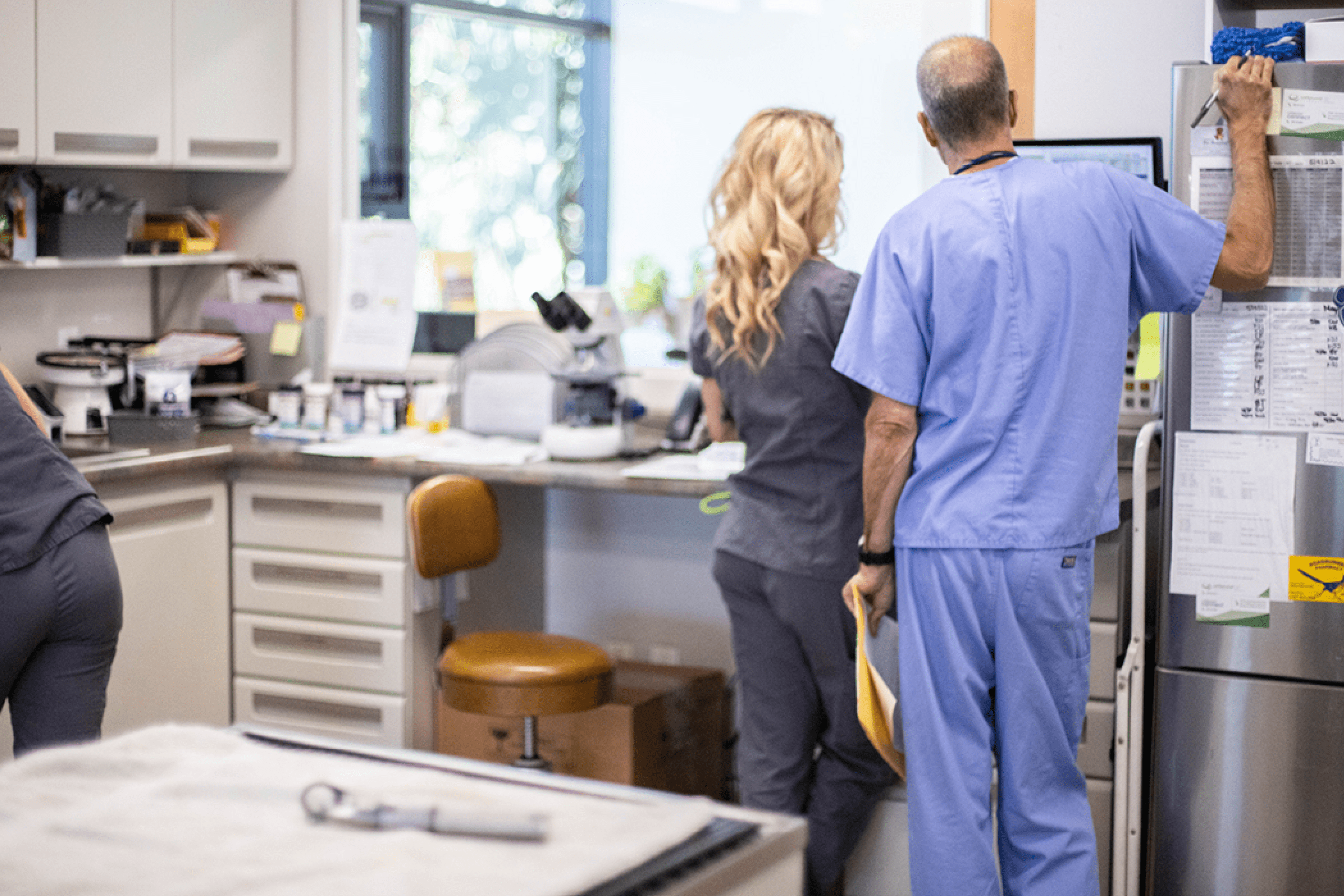 Vet Tech and DVM chatting at the computer while the Vet Tech holds a dog