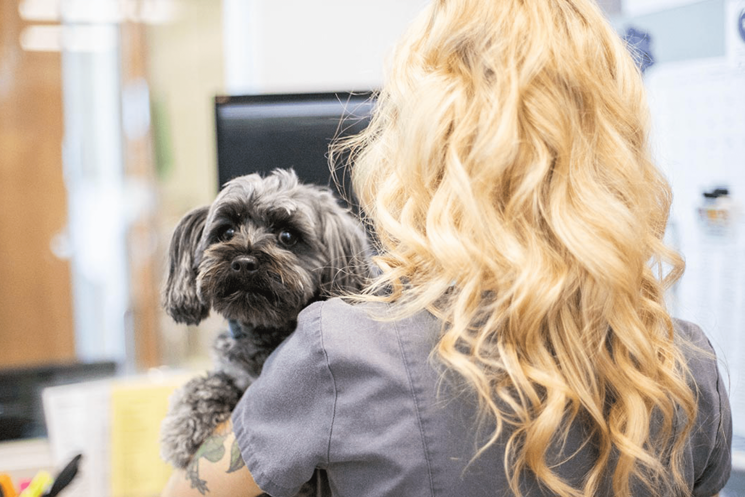 PetDesk’s veterinary loyalty program increases annual revenue by $122K<br />
