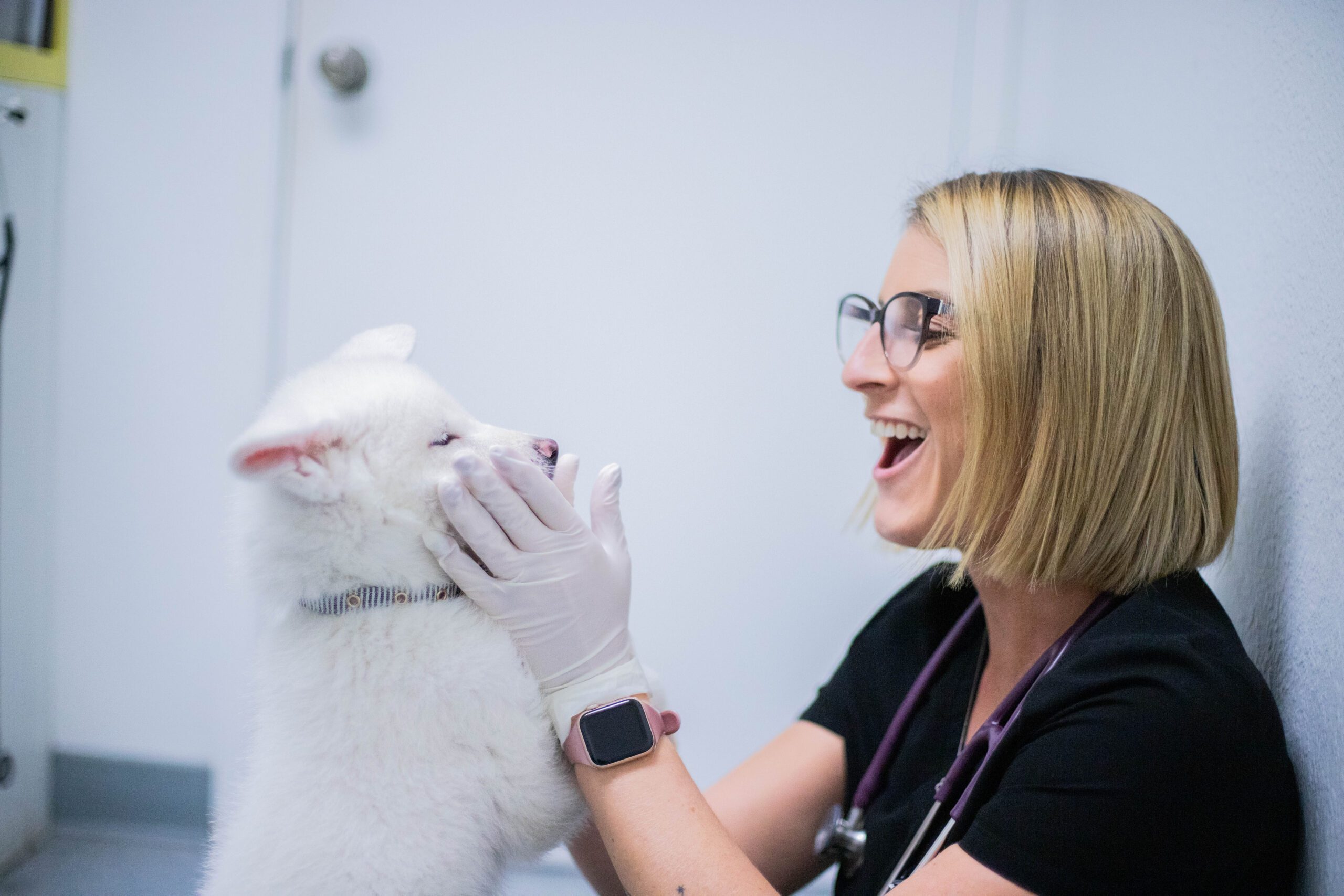 0123_MuirlandsAAH-2450 Two vet techs working together to help a pet