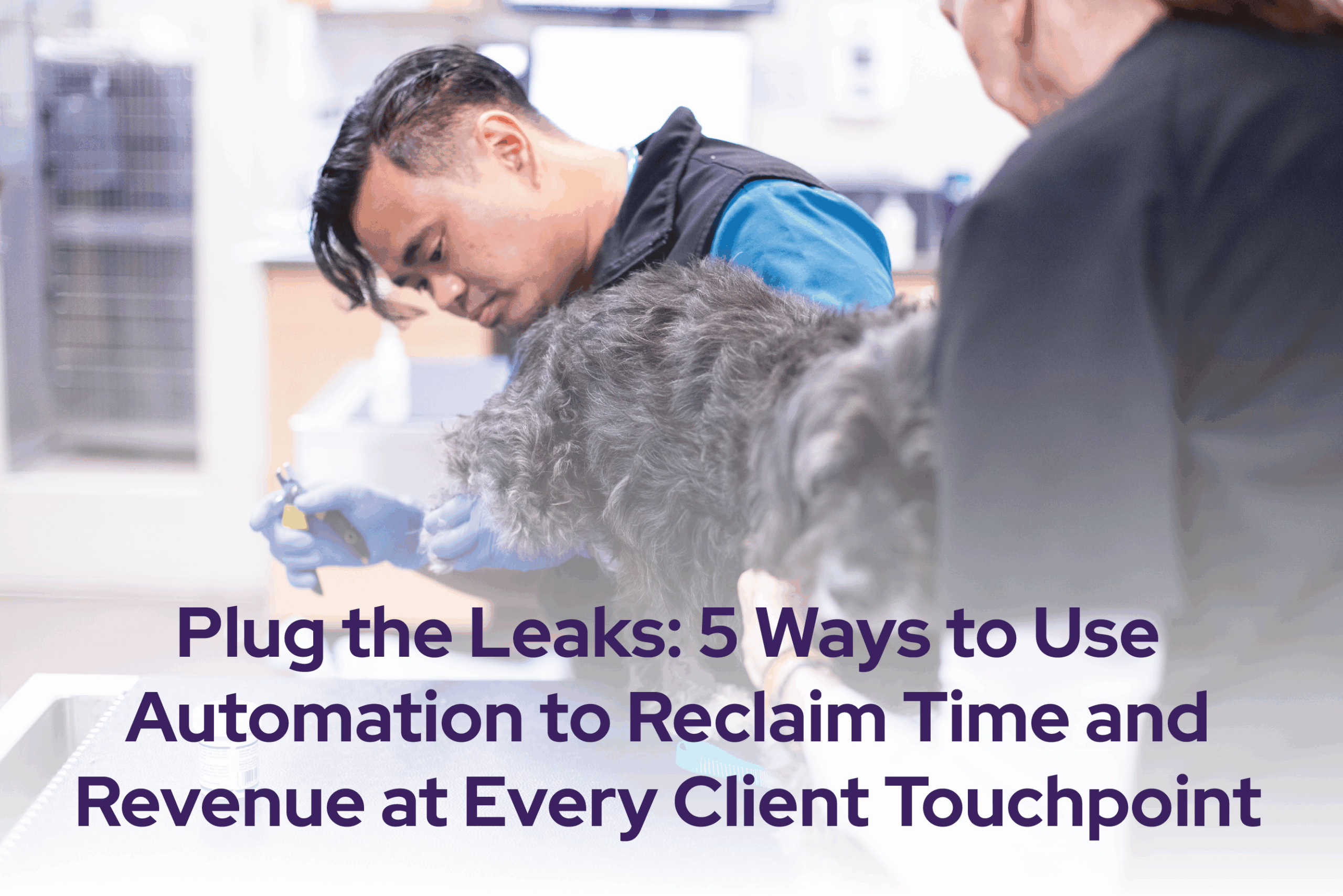 Plug the Leaks: 5 Ways to Use Automation to Reclaim Time and Revenue at Every Client Touchpoint
